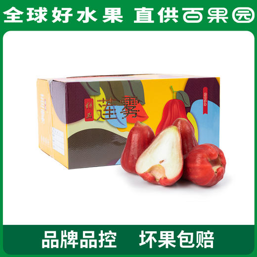 PAGODA百果园 招牌-水风铃莲雾（大）3斤装 商品图6