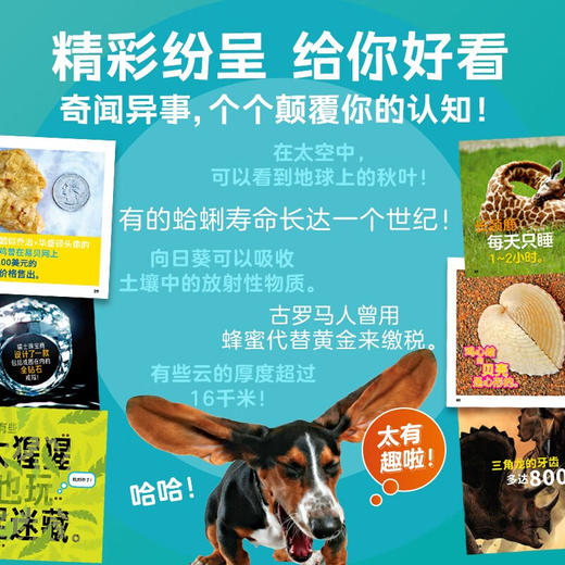 美国国家地理·世界真奇妙全3辑6岁以上科普读物 商品图5