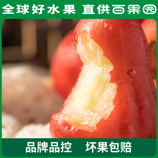 PAGODA百果园 招牌-水风铃莲雾（大）3斤装 商品图5