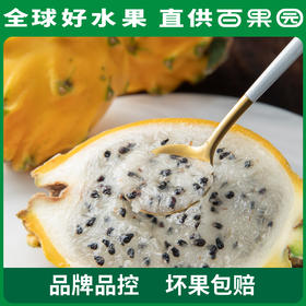 PAGODA百果园 招牌-一品官燕窝果（中）6粒装