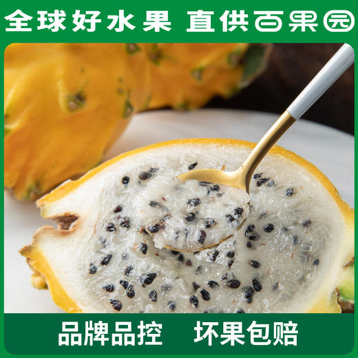 PAGODA百果园 招牌-一品官燕窝果（中）6粒装 商品图0