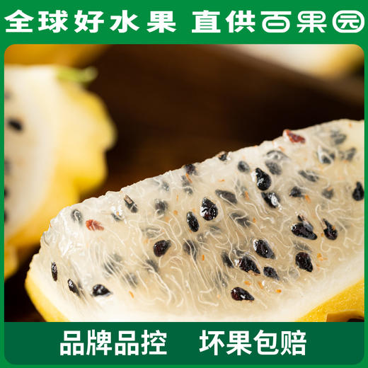 PAGODA百果园 招牌-一品官燕窝果（中）6粒装 商品图4