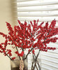 【清库存】冬青（富贵子）红色 5枝/扎  多规格 商品缩略图3