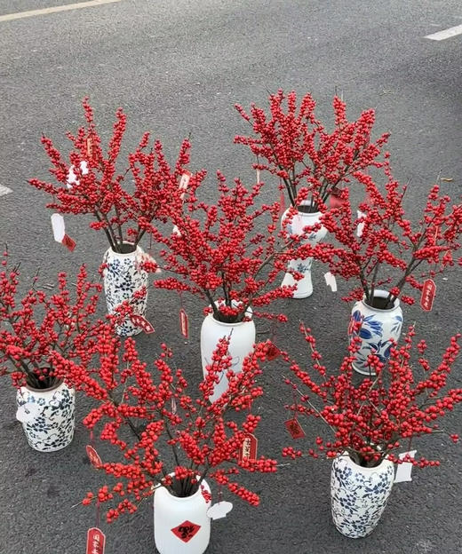 【清库存】冬青（富贵子）红色 5枝/扎  多规格 商品图0