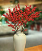 【清库存】冬青（富贵子）红色 5枝/扎  多规格 商品缩略图6