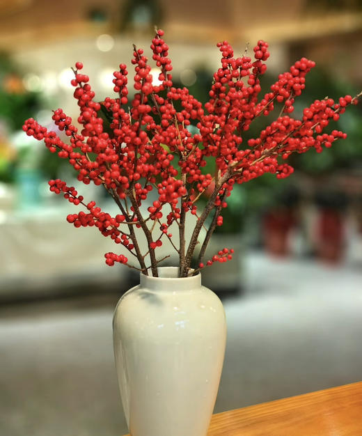 【清库存】冬青（富贵子）红色 5枝/扎  多规格 商品图6