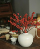 【清库存】冬青（富贵子）红色 5枝/扎  多规格 商品缩略图5