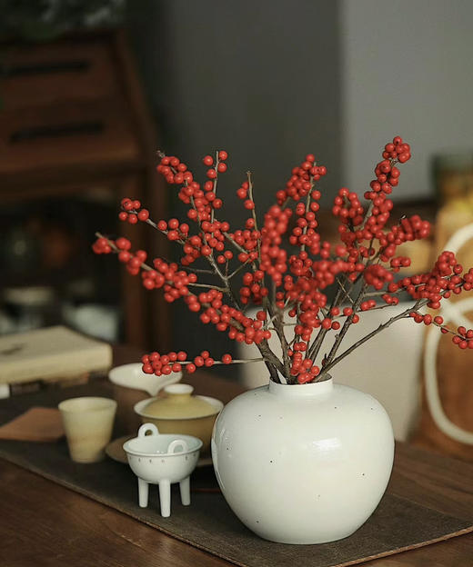 【清库存】冬青（富贵子）红色 5枝/扎  多规格 商品图5