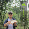 生态土鲮鱼（冷冻，全国可下单）| 合作生产 * Eco- Dace | Coproduction 商品缩略图1