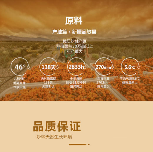 沃福百瑞 沙棘油沙棘原浆 商品图8