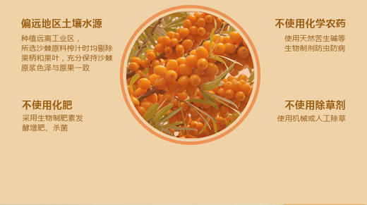 沃福百瑞 沙棘油沙棘原浆 商品图9