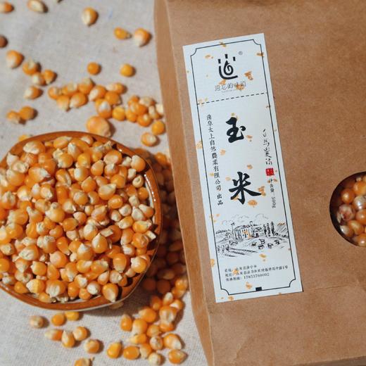 【2025新粮】黄金玉米粒 500g 商品图0
