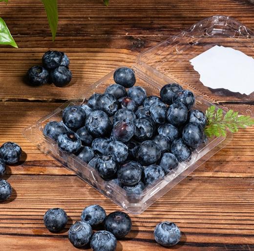 塔漠DE莓 . 新疆蓝莓 来自新疆塔克拉玛干沙漠 当季鲜果 商品图3