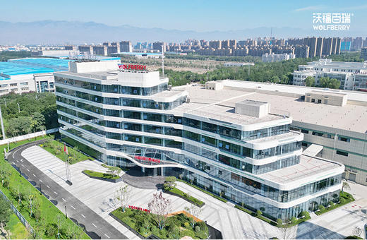 沃福百瑞 沙棘油沙棘原浆 商品图14