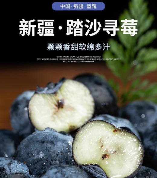 塔漠DE莓 . 新疆蓝莓 来自新疆塔克拉玛干沙漠 当季鲜果 商品图5