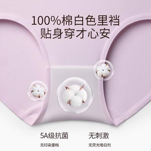 洁丽雅3条装高腰纯棉女士内裤收腹提臀高弹亲肤纯棉内裆内裤女 商品图2