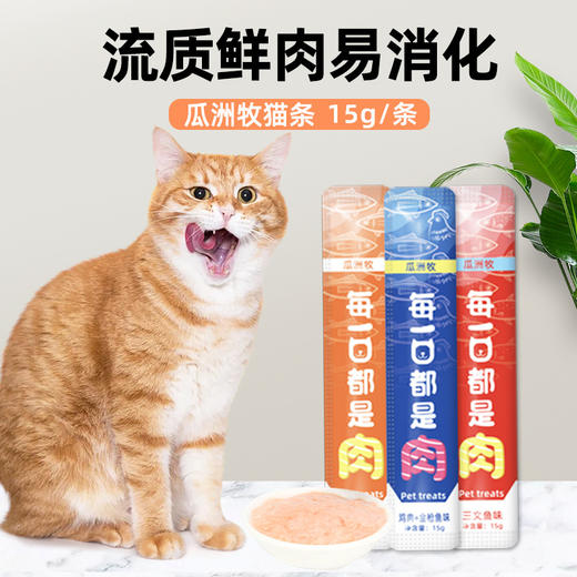 【猫咪零食】瓜洲牧 猫零食猫条混合口味罐头营养成幼猫湿粮用品15g*1 商品图1
