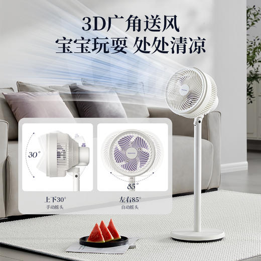 大宇台立两用循环扇电风扇F45 商品图2