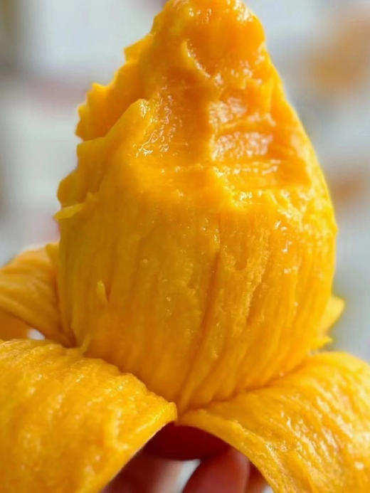 三亚✈️树熟贵妃芒🥭 商品图1