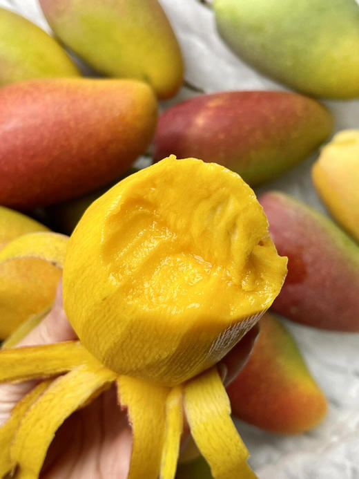 三亚✈️树熟贵妃芒🥭 商品图2