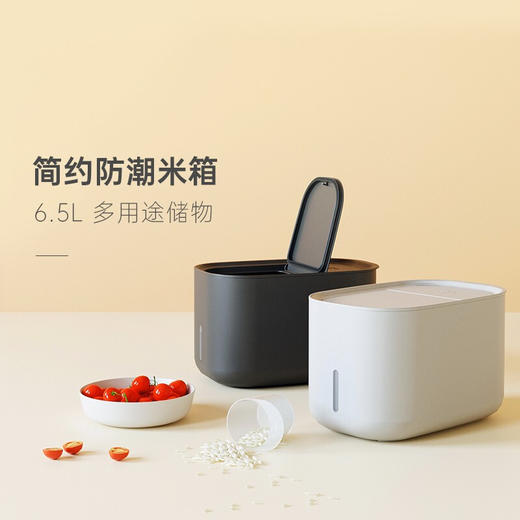 【清仓特惠6折】ZUUTII米箱 加拿大家用防虫防潮密封大米面粉收纳盒6.5L【不支持补差，非质量问题不退不换】S 商品图5