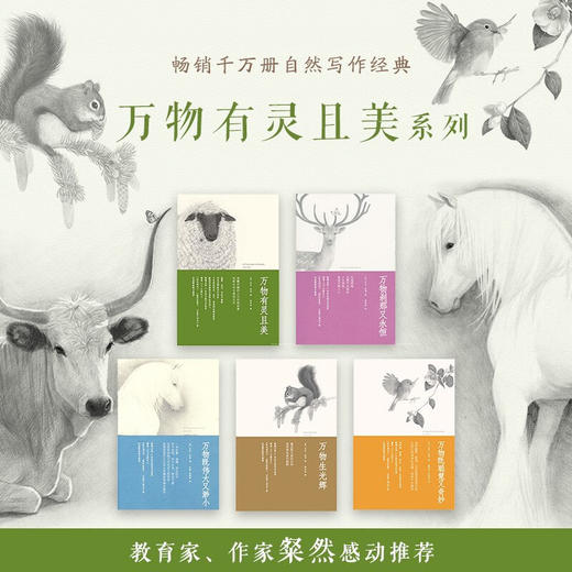 万物有灵且美系列经典小说：豆瓣剧王9.4分英剧《万物生灵》原著小说，畅销千万册的温暖爆笑动物故事（英）吉米·哈利 著 商品图9