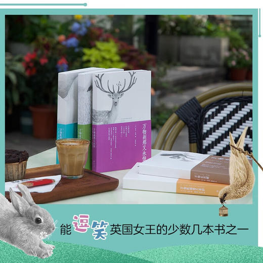 万物有灵且美系列经典小说：豆瓣剧王9.4分英剧《万物生灵》原著小说，畅销千万册的温暖爆笑动物故事（英）吉米·哈利 著 商品图5