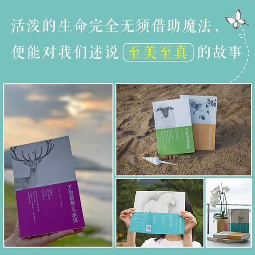 万物有灵且美系列经典小说：豆瓣剧王9.4分英剧《万物生灵》原著小说，畅销千万册的温暖爆笑动物故事（英）吉米·哈利 著 商品图2