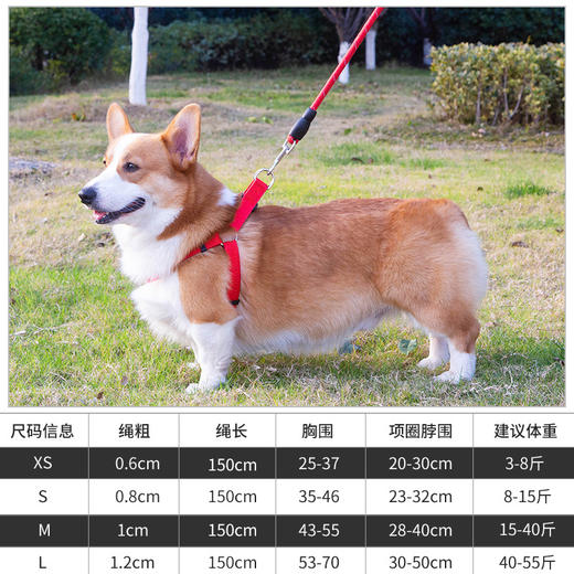 【L码】宠物牵引绳红色/黑色/蓝色【20-40斤】EVA反光狗狗2m狗链子狗绳 商品图0