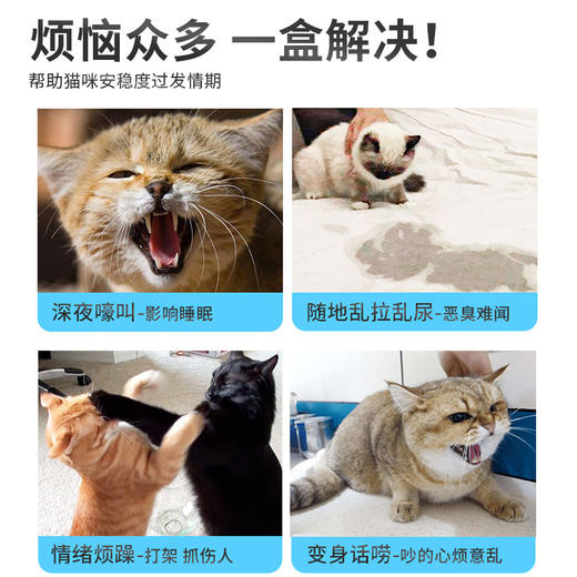 【猫咪抑情粉】PetsBenz发情期防猫叫舒缓情绪公母猫抑情营养补充剂50g 商品图3