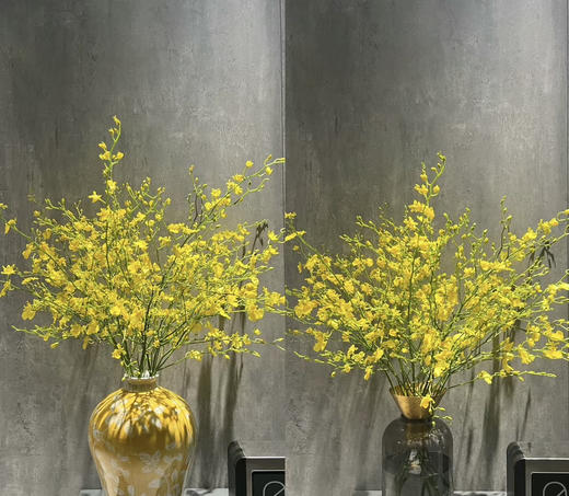 文心兰（纯黄跳舞兰）10枝/扎  多规格 商品图1