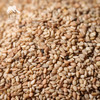 生态白芝麻（生） | 合作生产* Eco white sesame | Copruduction 商品缩略图1