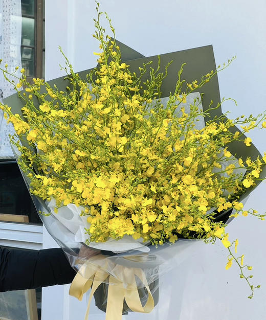 文心兰（纯黄跳舞兰）10枝/扎  多规格 商品图0