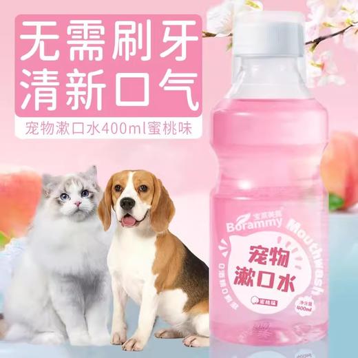 严选宠物漱口水狗狗猫咪通用洁齿水口腔清洁口气清新蜜桃味400ml 商品图0