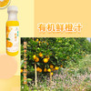 有机鲜橙汁  10瓶×250ml    全国配送（偏远地区除外） 商品缩略图2