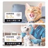 严选宠物漱口水狗狗猫咪通用洁齿水口腔清洁口气清新蜜桃味400ml 商品缩略图2