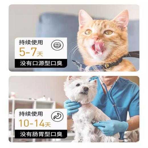 严选宠物漱口水狗狗猫咪通用洁齿水口腔清洁口气清新蜜桃味400ml 商品图2