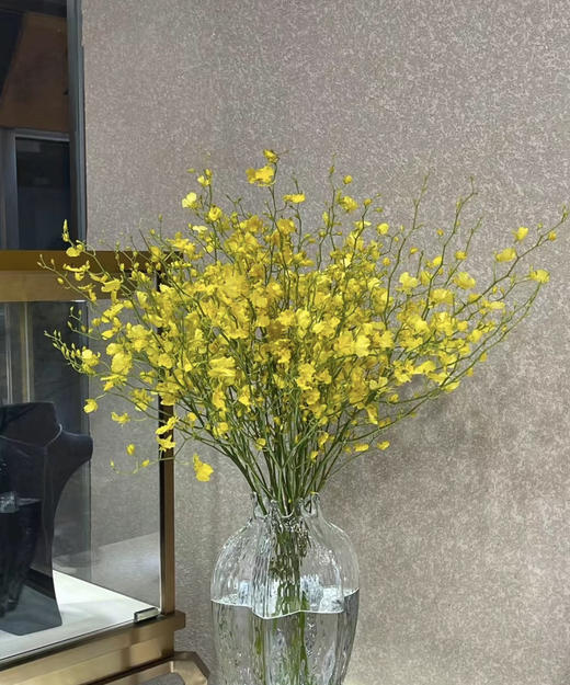 文心兰（纯黄跳舞兰）10枝/扎  多规格 商品图2