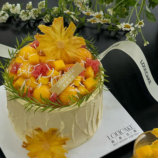 海岛悠然（所有绿植均不可食用！） 商品图3