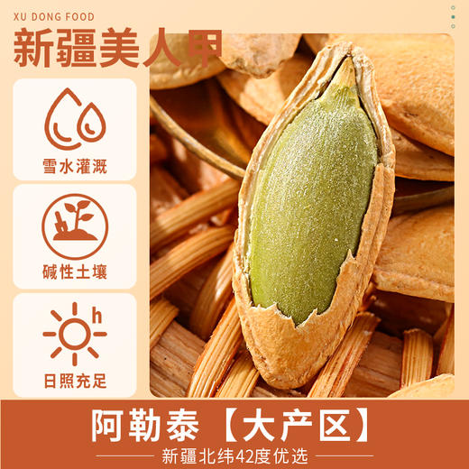 【新会员专享】368g罐装旭东瓜子百里挑一椒盐味南瓜子新货美人甲 商品图5