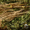 生态荠菜干（有根有叶有花） | 绿家自产 * Eco-dried shepherd's purse | Self-production 商品缩略图2