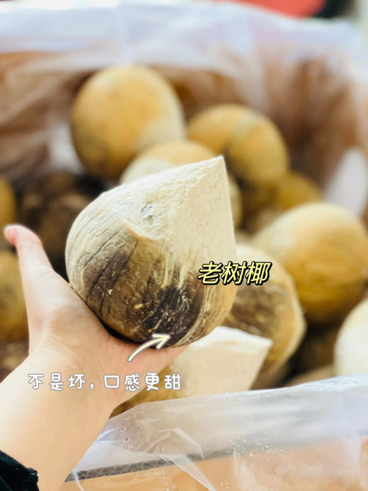 泰国🇹🇭老树椰皇🌴——精选老树果，椰汁香甜醇厚 商品图3
