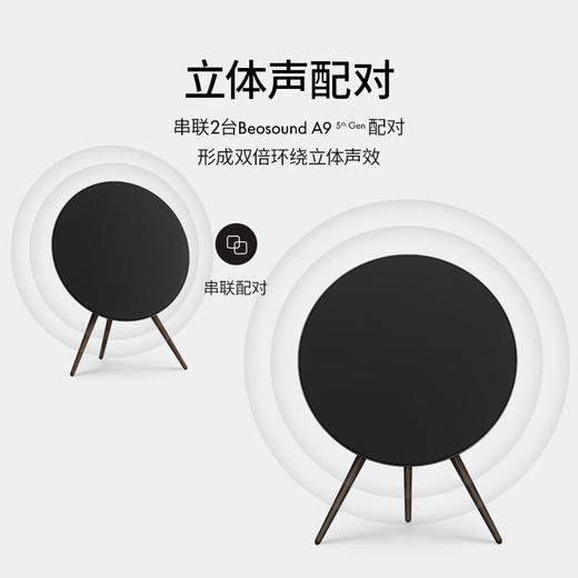 B&O BeoPlay A9 多媒体扬声器 5.0 商品图3