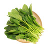 【本地蔬菜】 菠菜500g 商品缩略图0