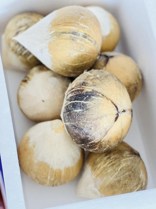 泰国🇹🇭老树椰皇🌴——精选老树果，椰汁香甜醇厚 商品图4