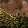 生态荠菜干（有根有叶有花） | 绿家自产 * Eco-dried shepherd's purse | Self-production 商品缩略图3