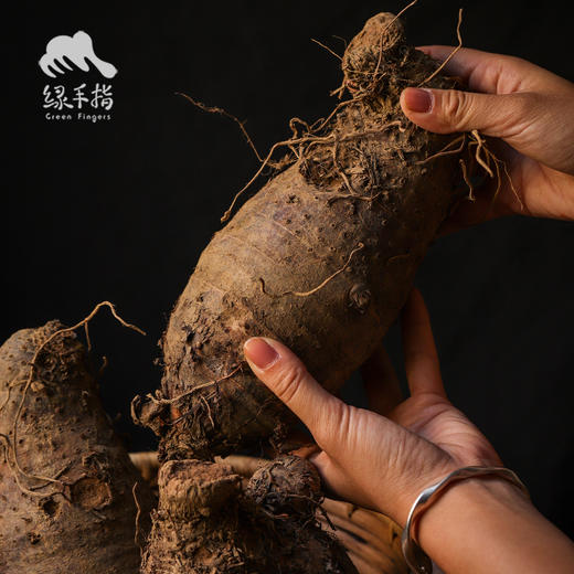生态香芋 | 绿家自产* ecological taro  | Self-production 商品图2