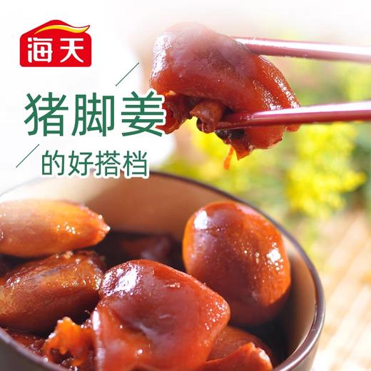 海天添丁甜醋 450ml/瓶 商品图2