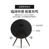 B&O BeoPlay A9 多媒体扬声器 5.0 商品缩略图4