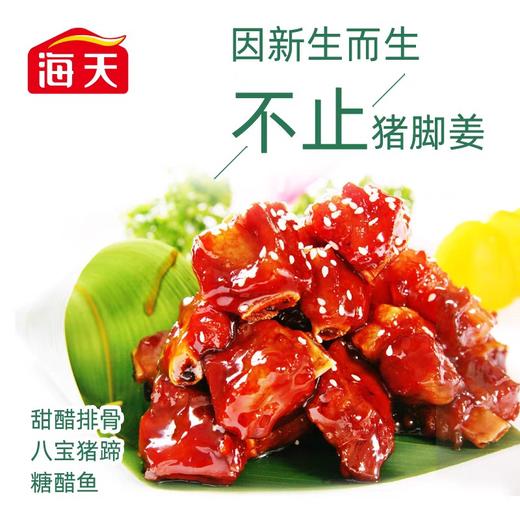 海天添丁甜醋 450ml/瓶 商品图4